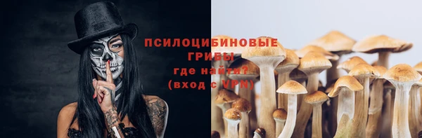 тгк Богородск