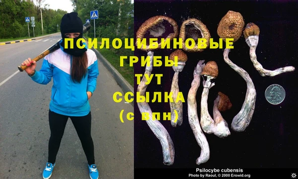 прущий лед Богородицк