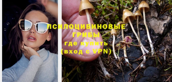 наркотики Богданович